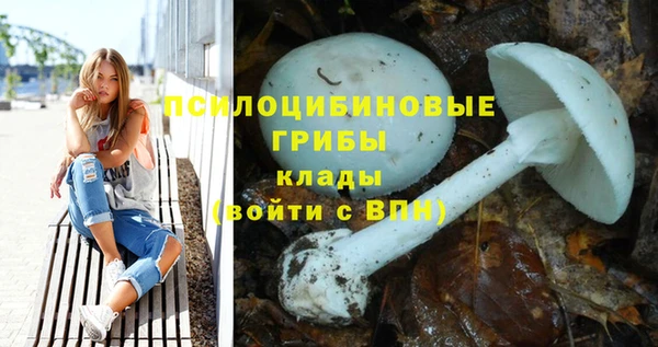 спиды Мегион